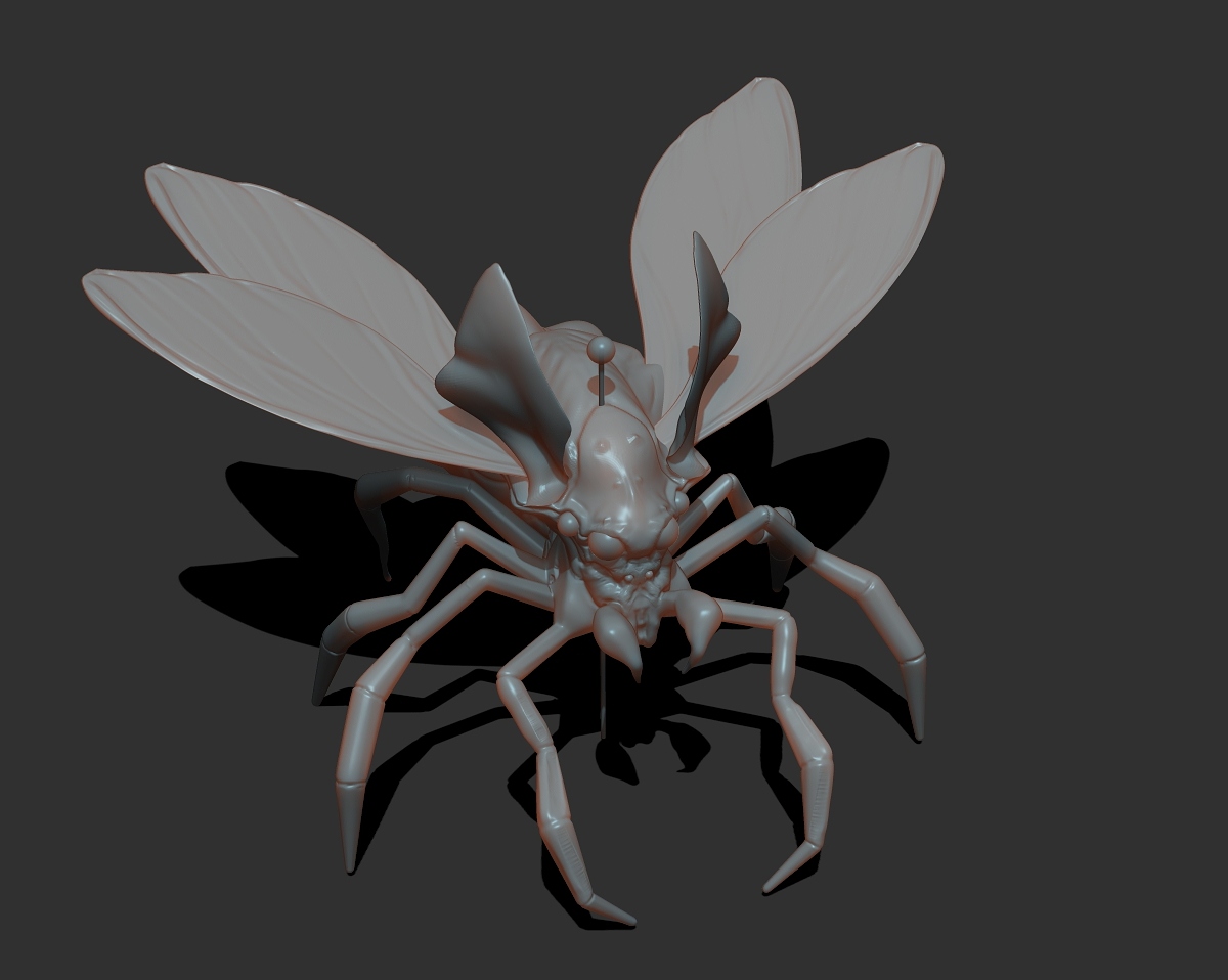 insect06.jpg
