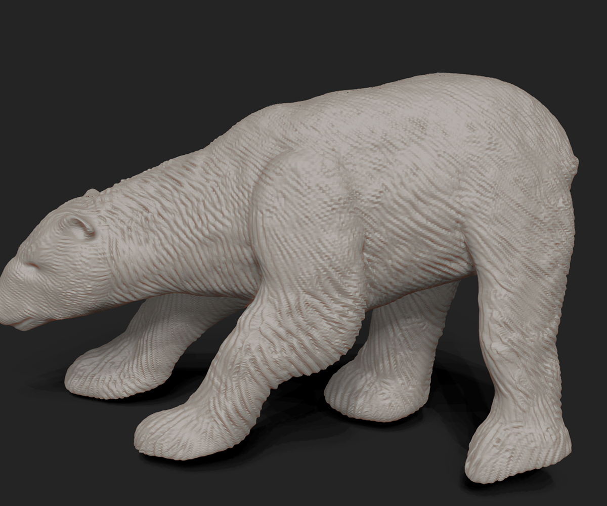 POLAR-BEAR-SKETCH-5.jpg