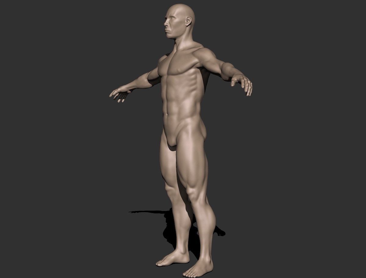 bodybuilderupdate_3quarter.jpg