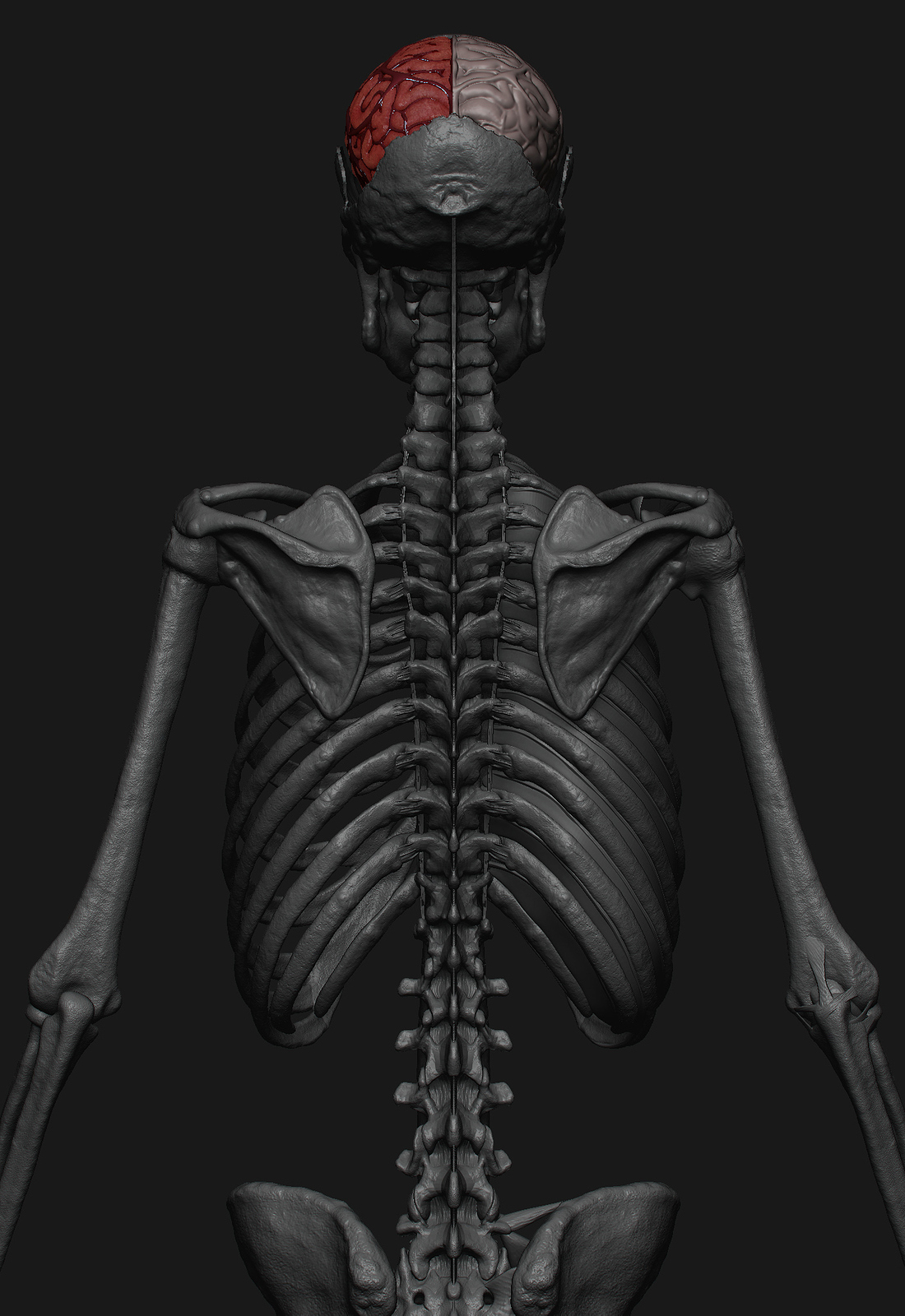 zgrab 04.jpg