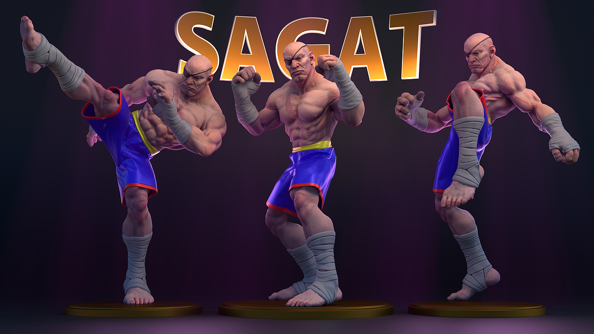 SagatLarge4kv1