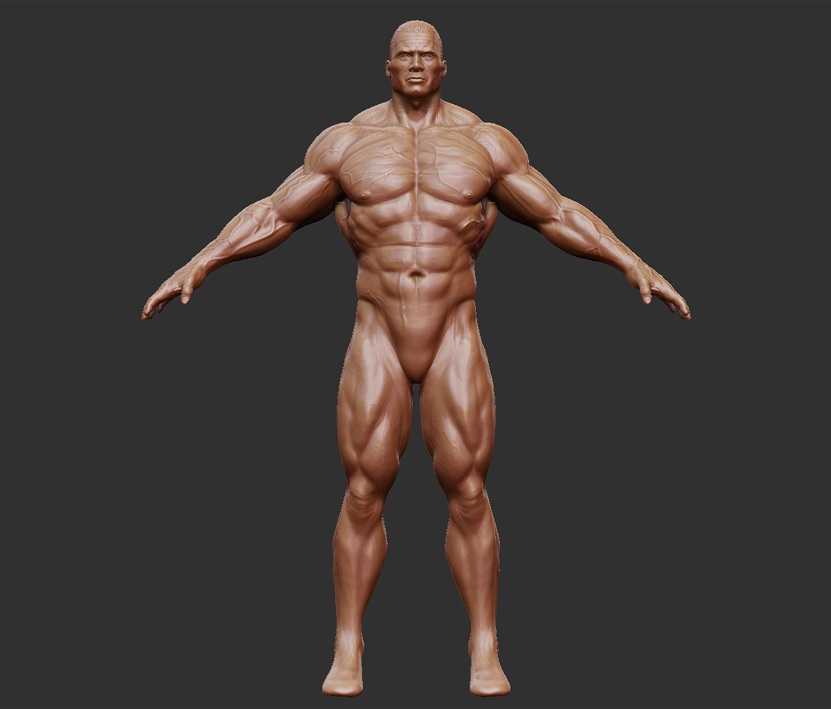 he-man_body_front_01.jpg