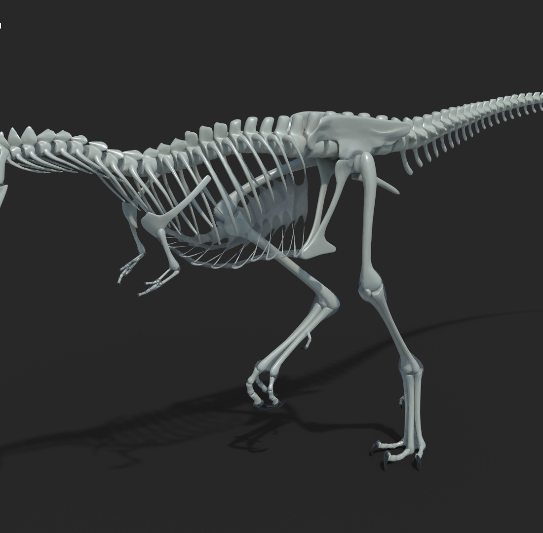 Raptorex3_by_Jeannot_Landry_2018.jpg