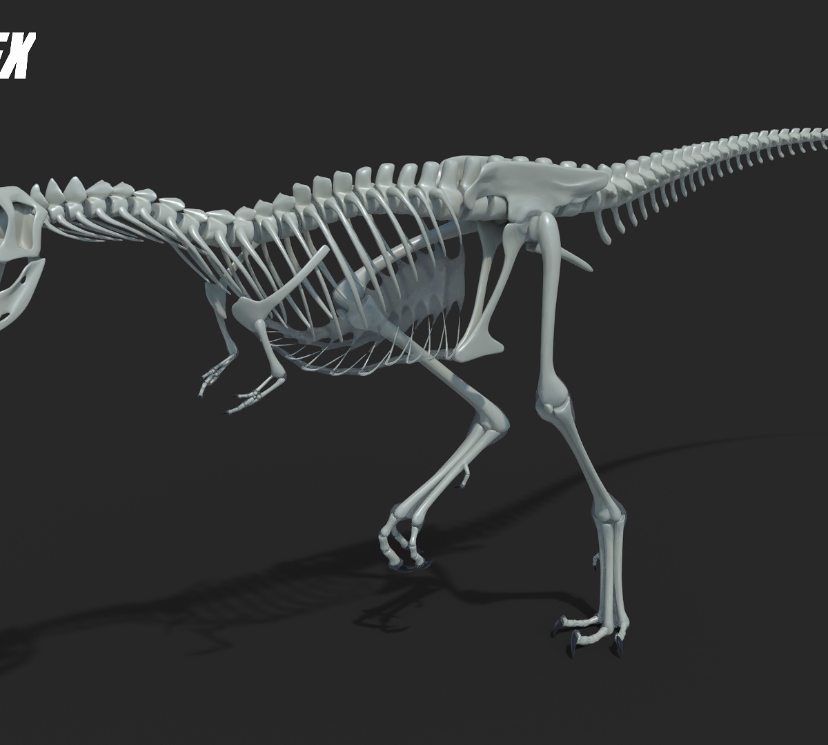 Raptorex3_by_Jeannot_Landry_2018.jpg