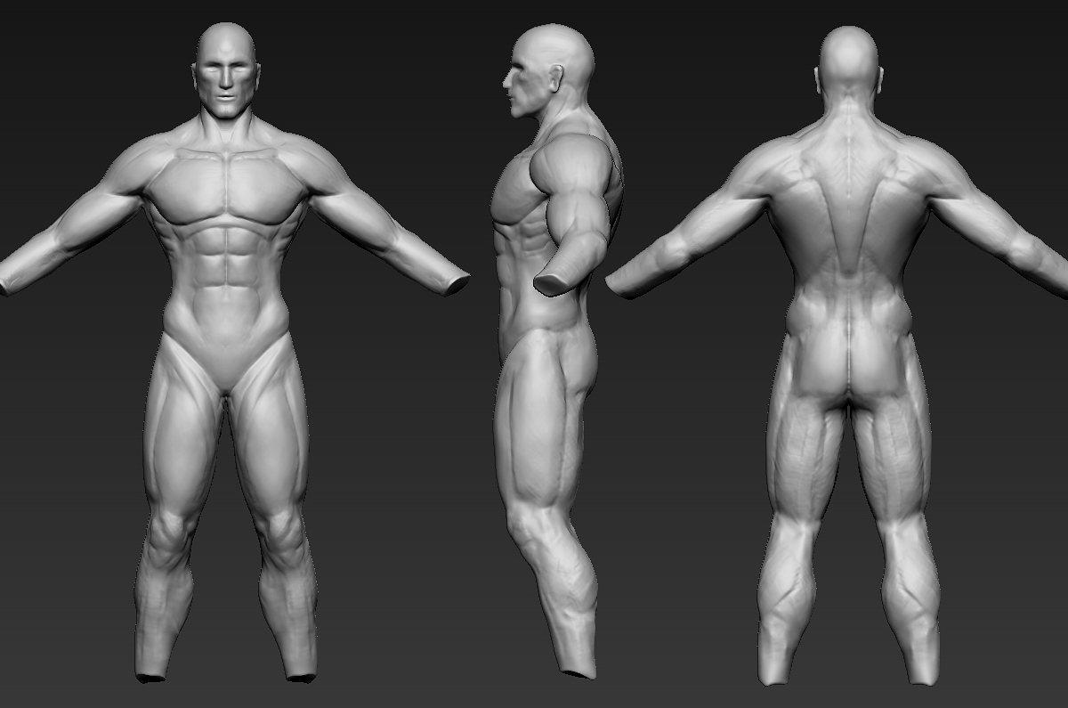 ZD BodyConcept1.jpg