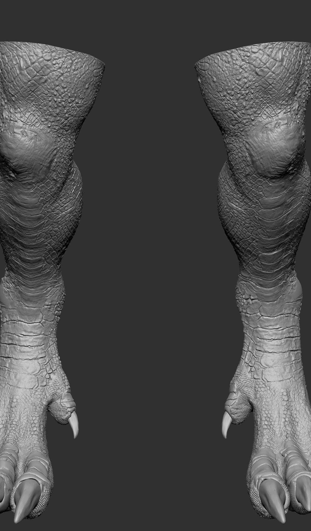 LEG.jpg