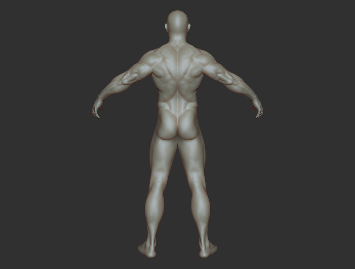 body builder_back.jpg