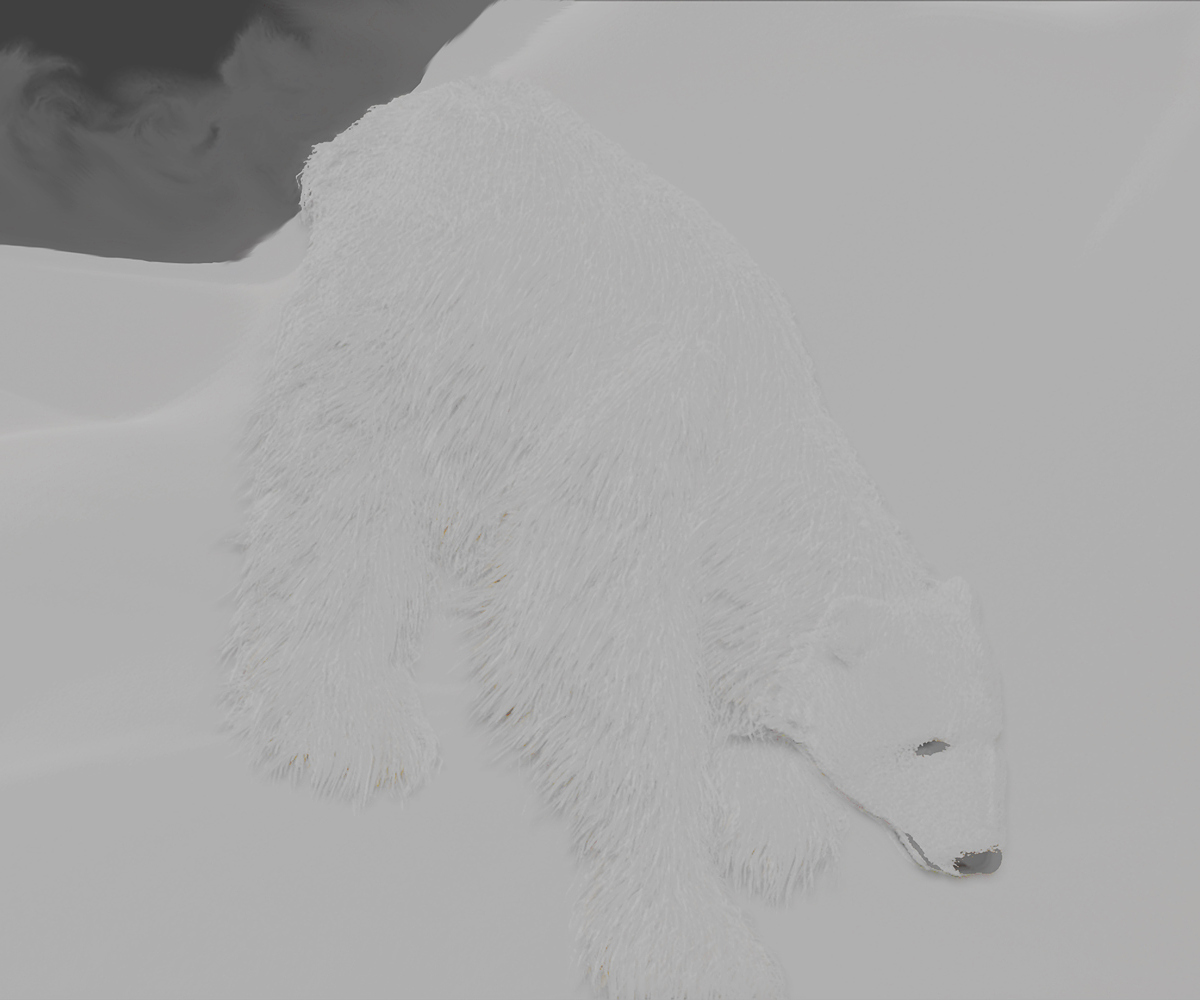 POLAR-BEAR-EXPERIMENT-20.jpg