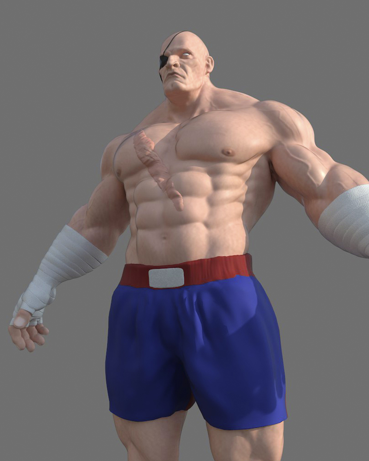 sagat_poseA_render_01.jpg