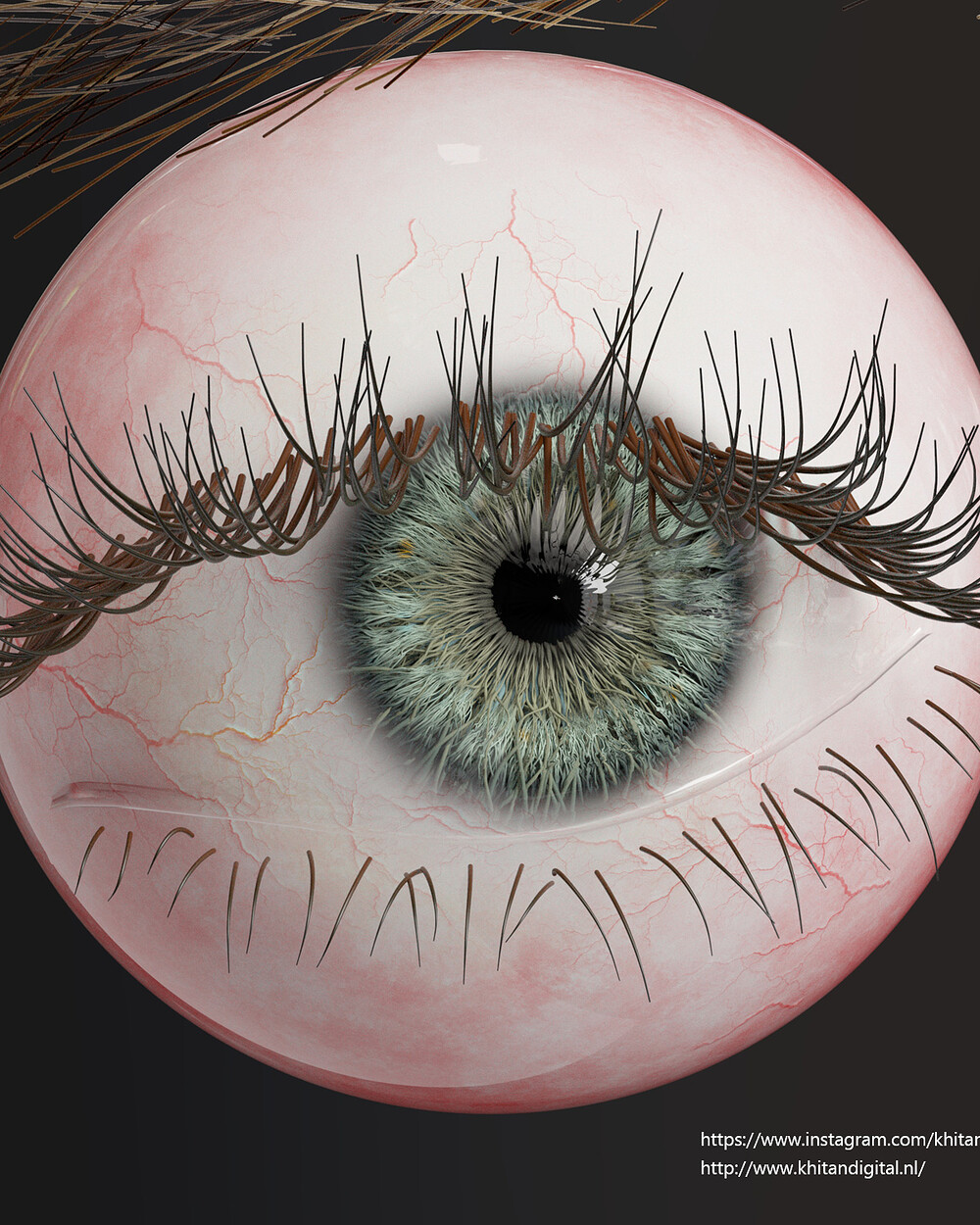 Eyeball.jpg