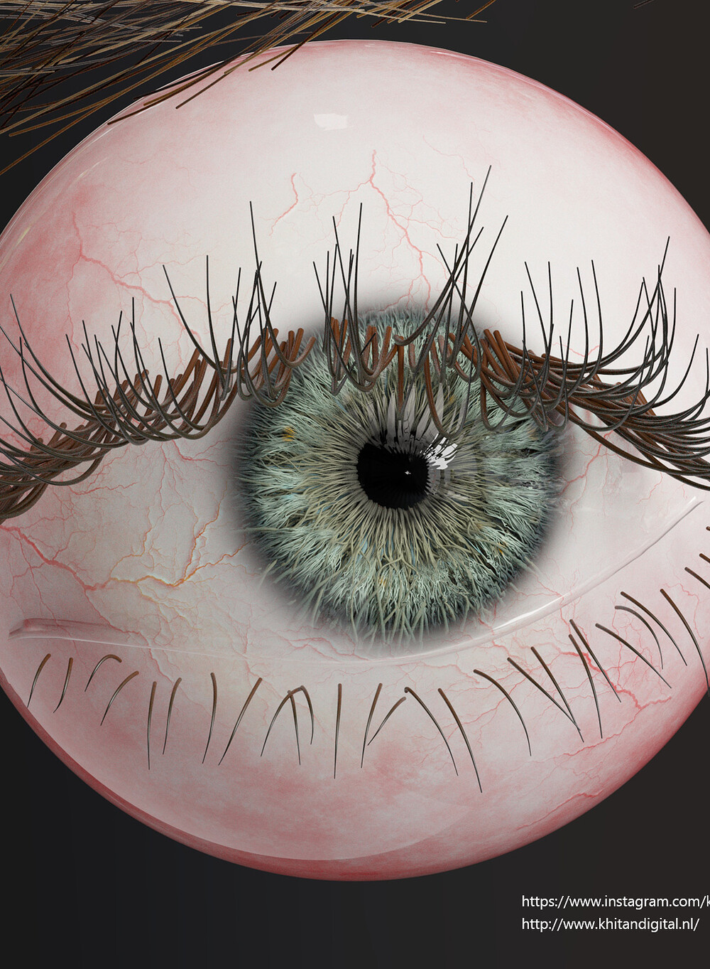 Eyeball.jpg
