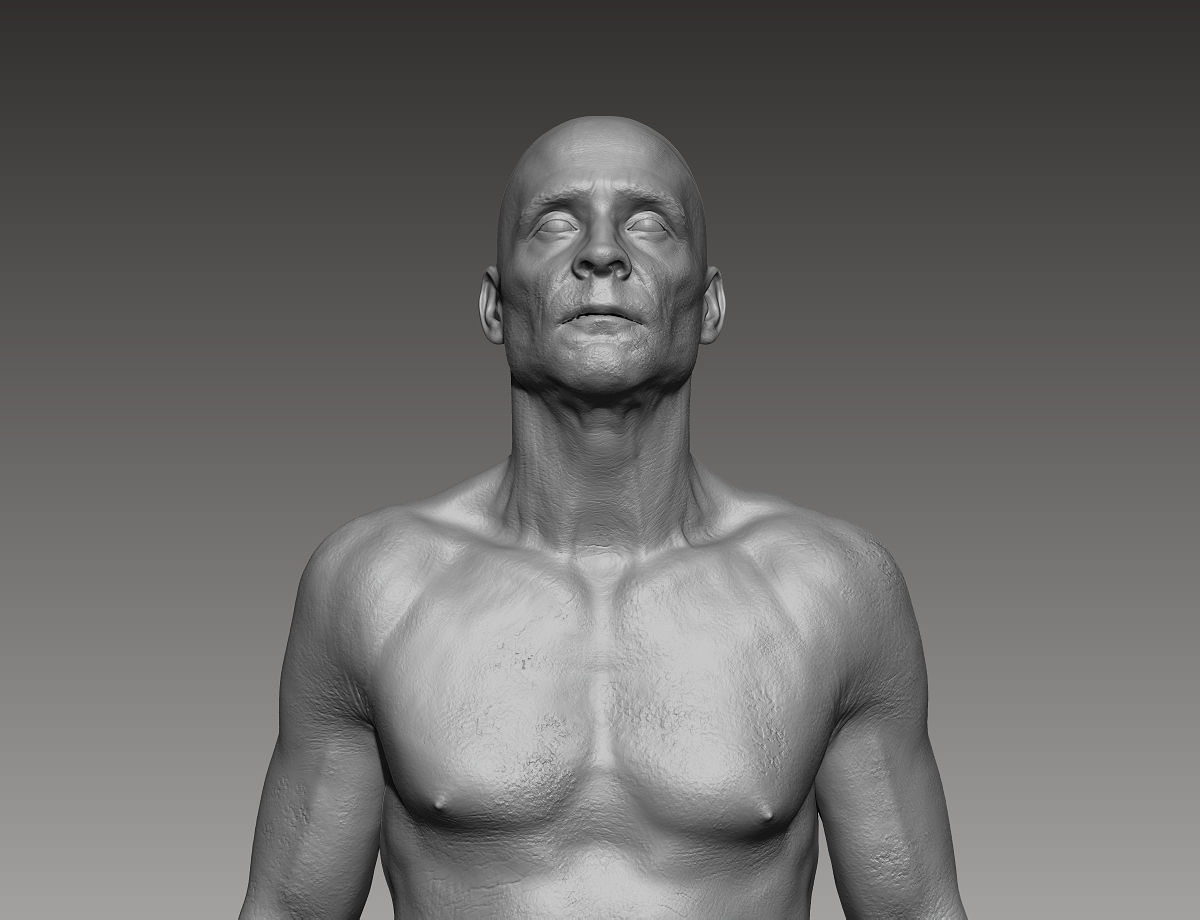 7ZbrushPhase5.jpg