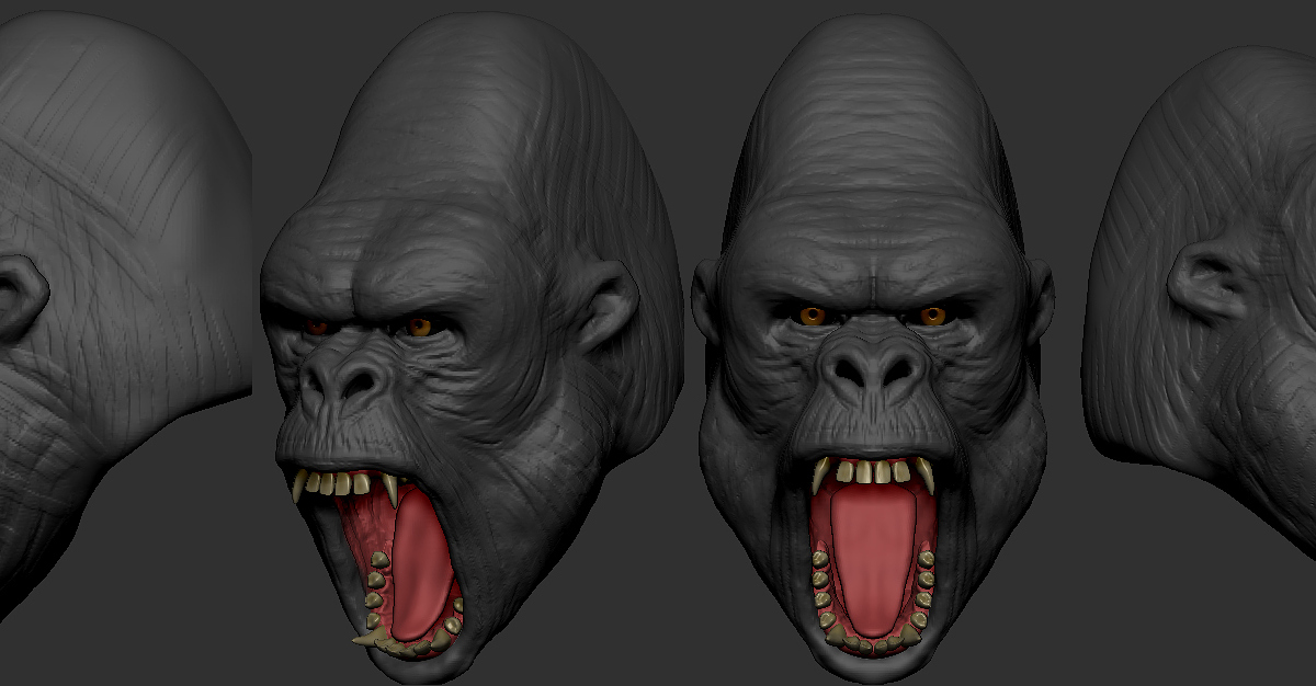 gorilla sketch2.jpg