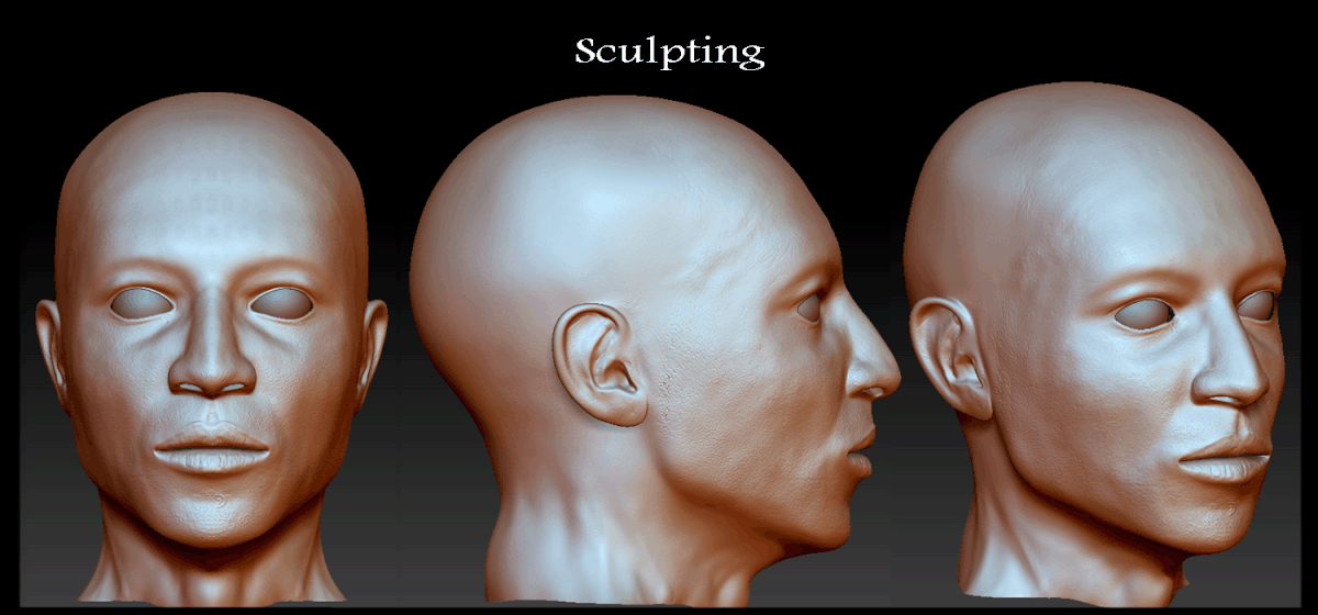 SculptingProgress5.gif