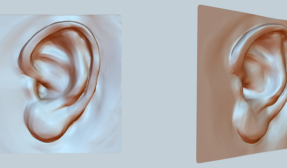 ear_01.jpg
