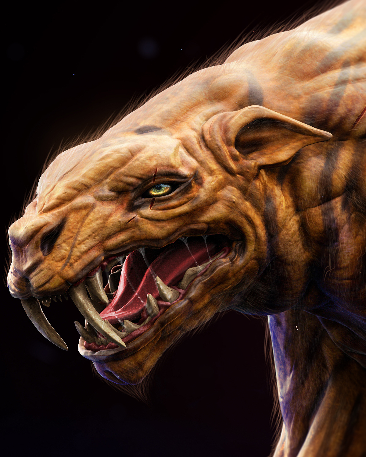 THE BEAST Details 03.jpg
