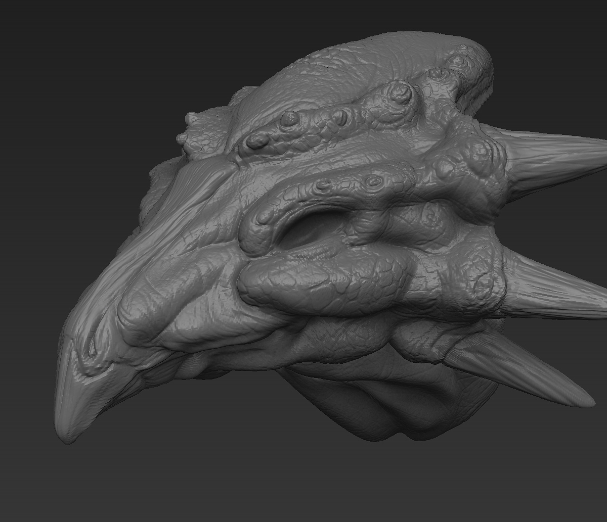 Bird Lizard wip1.jpg