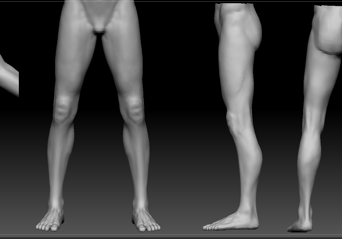 trunk-legs.jpg