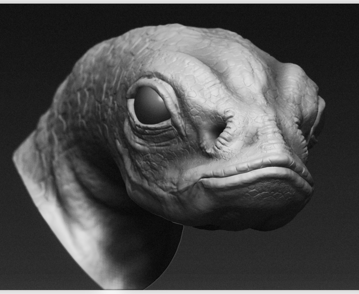 CloseUp_B.jpg