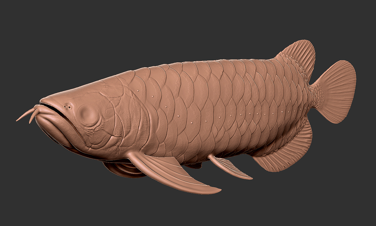 Zbrush_aruana