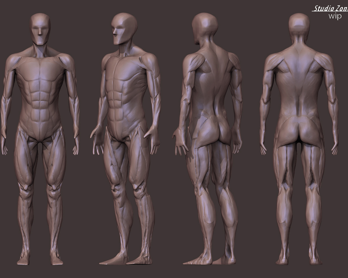 anatomy study.jpg