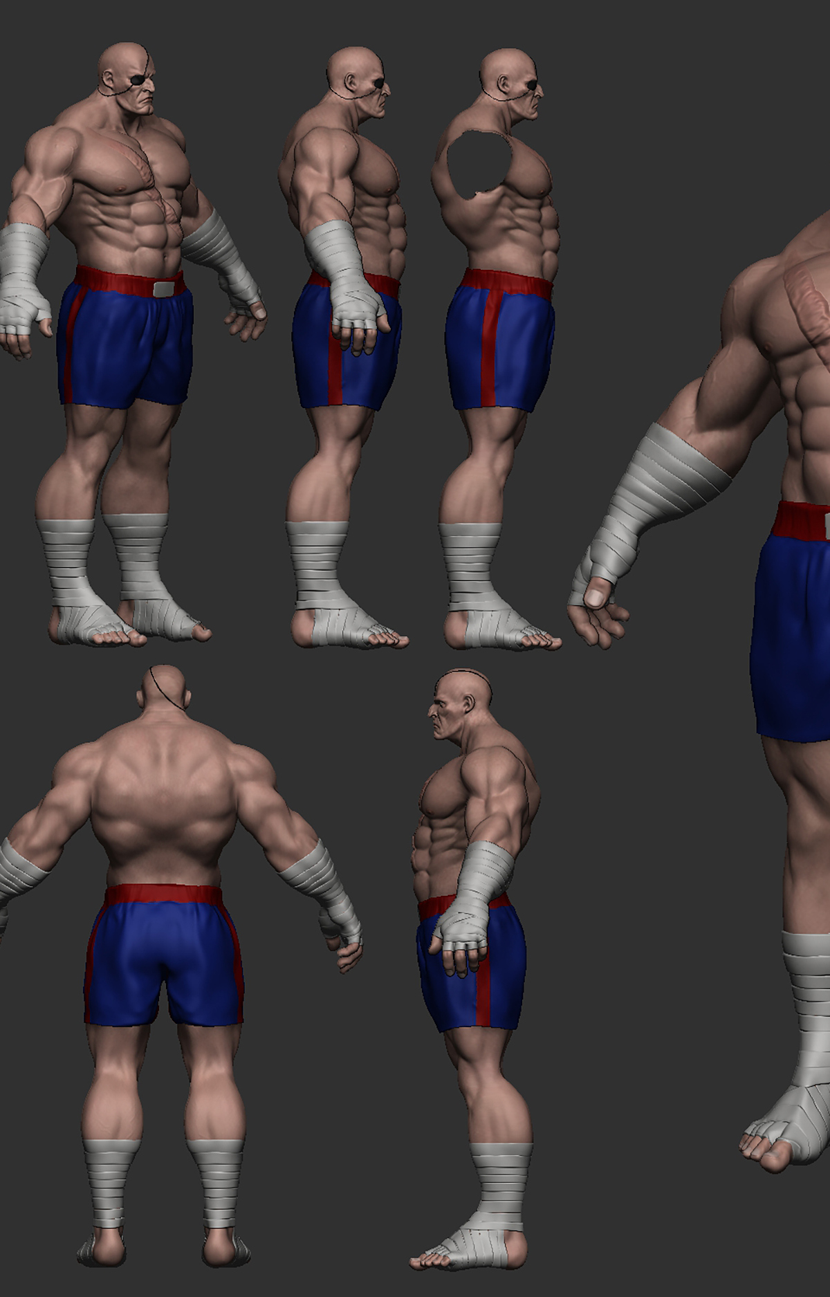 sagat_poseA_vistas_color_02.jpg