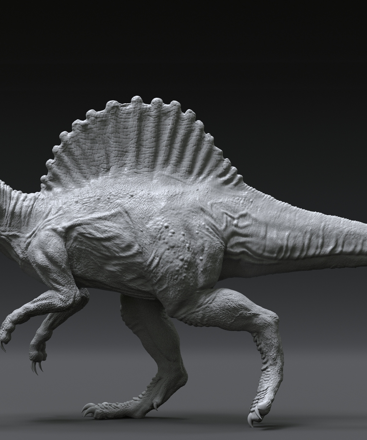 spino_00.jpg