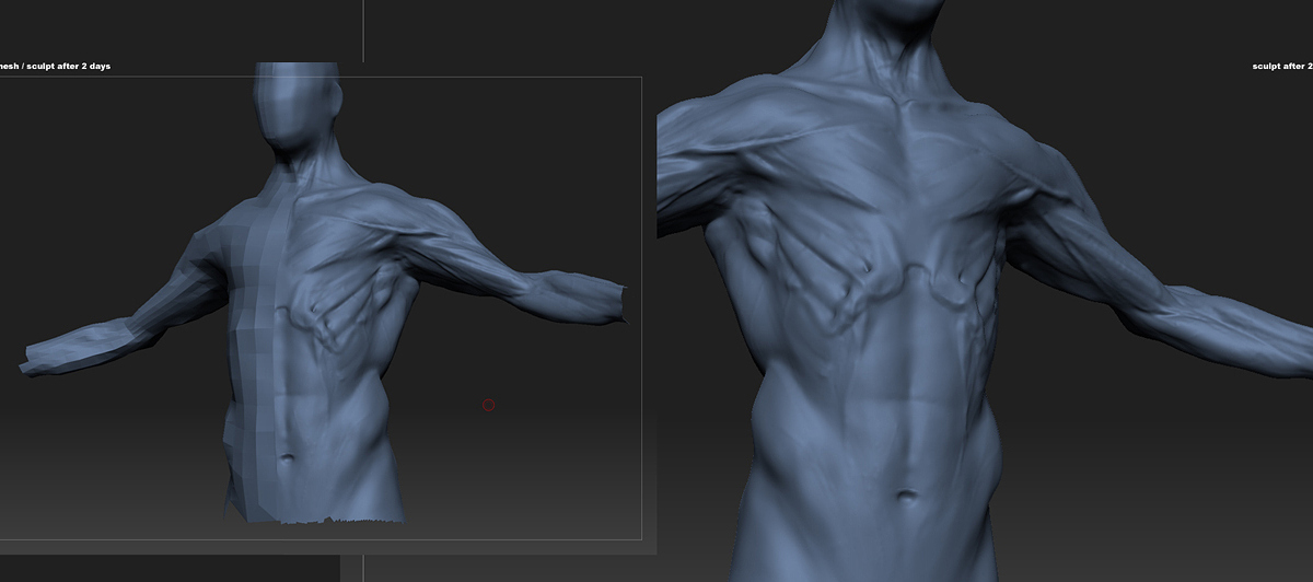 beesub_WIP_sA.jpg