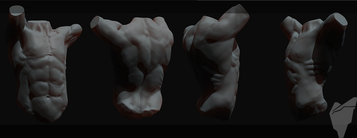 torso_wip1.jpg