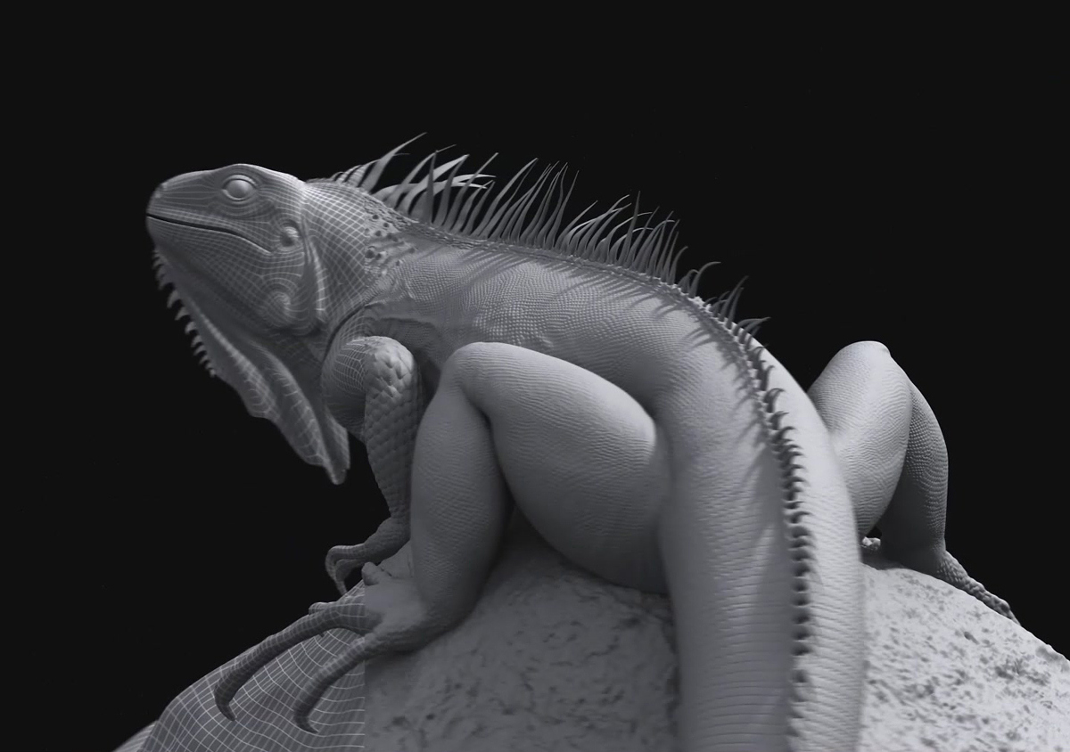 iguana04.JPG