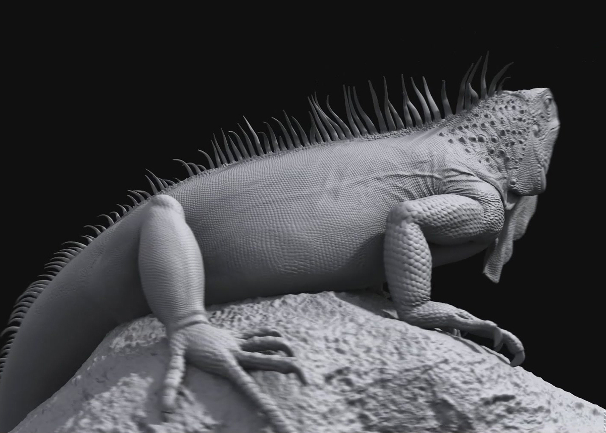 iguana02.JPG