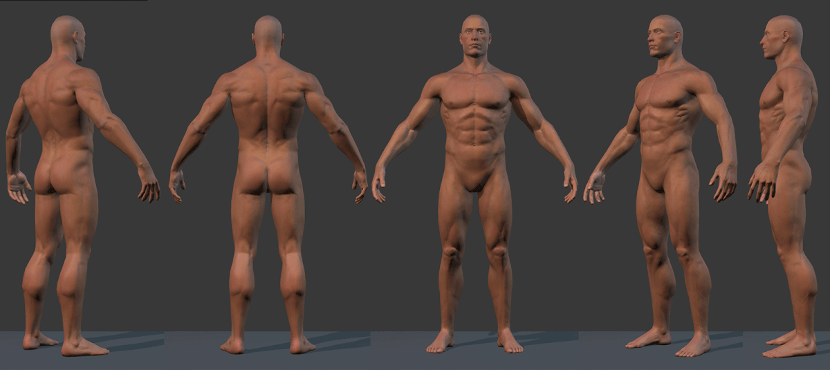 male_model_wip.gif
