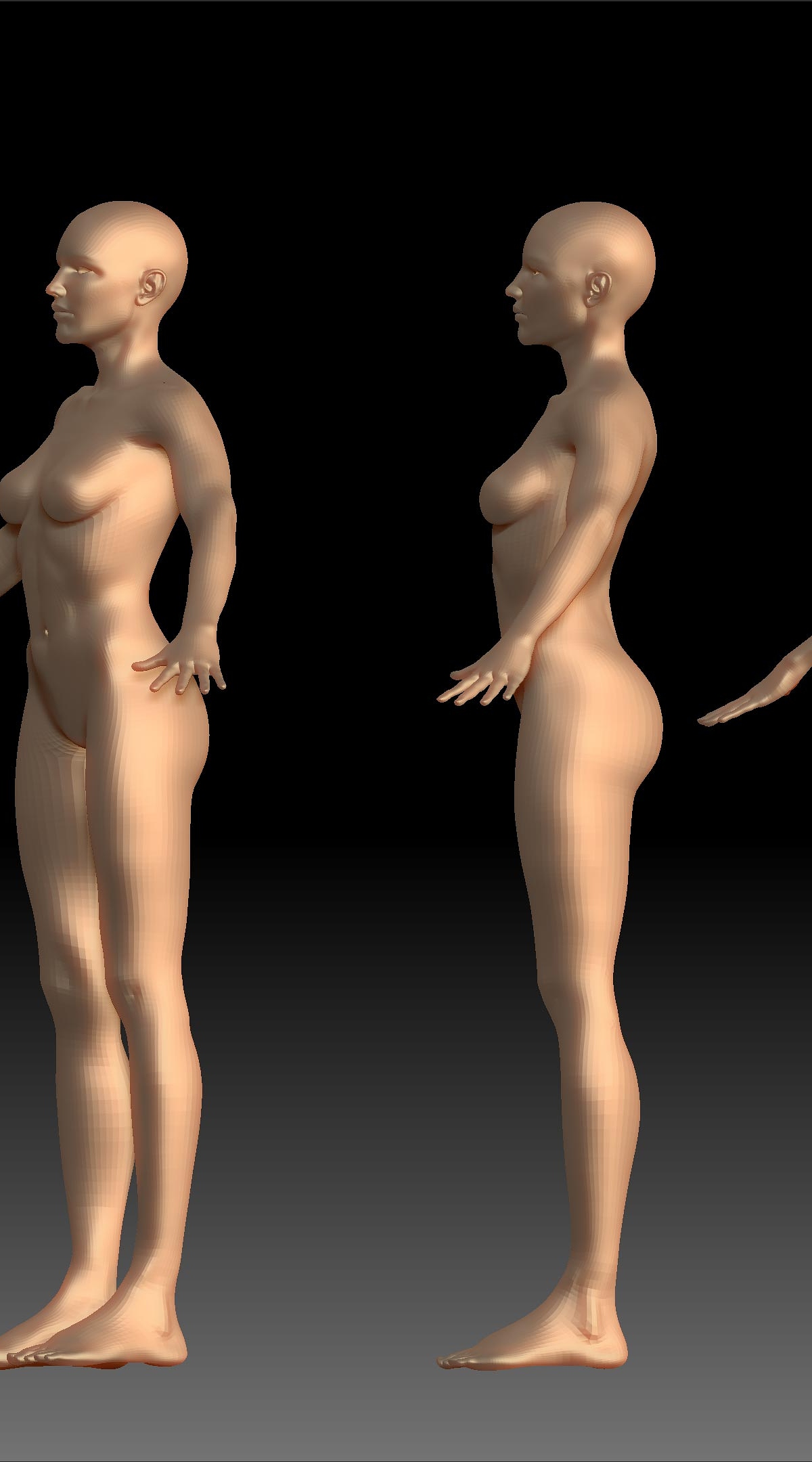 Female-Body-Base-update.jpg