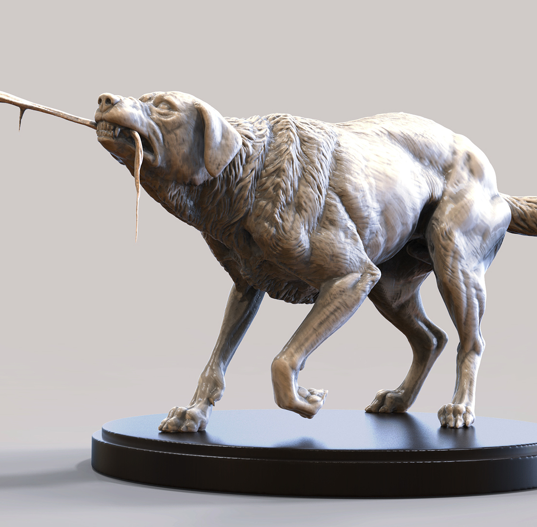 render.jpg