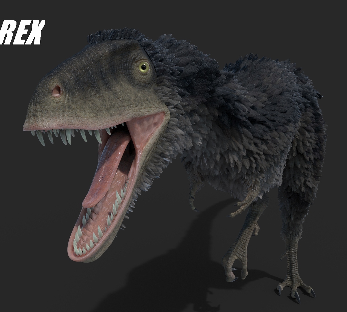 Raptorex5_by_Jeannot_Landry_2018.jpg