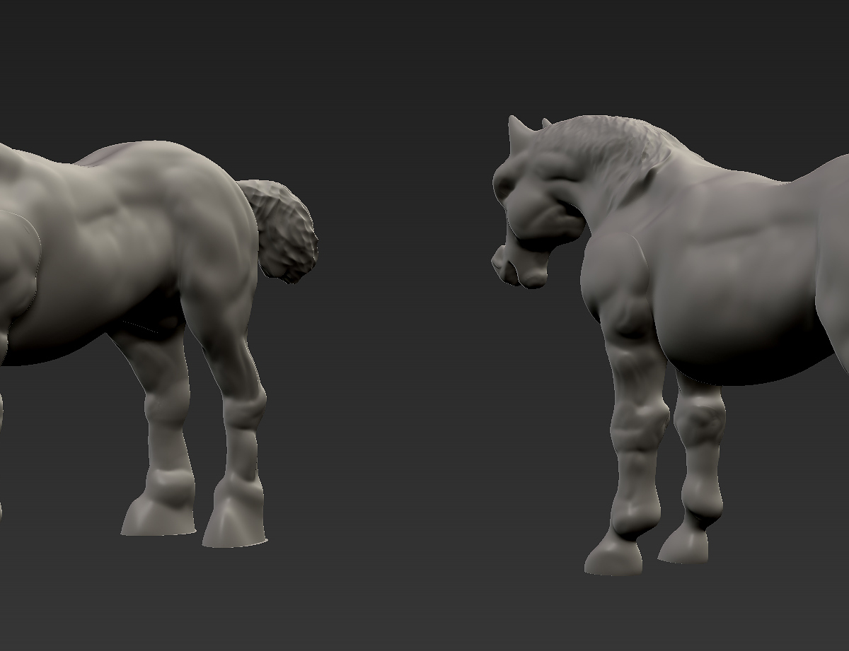 horse1.jpg