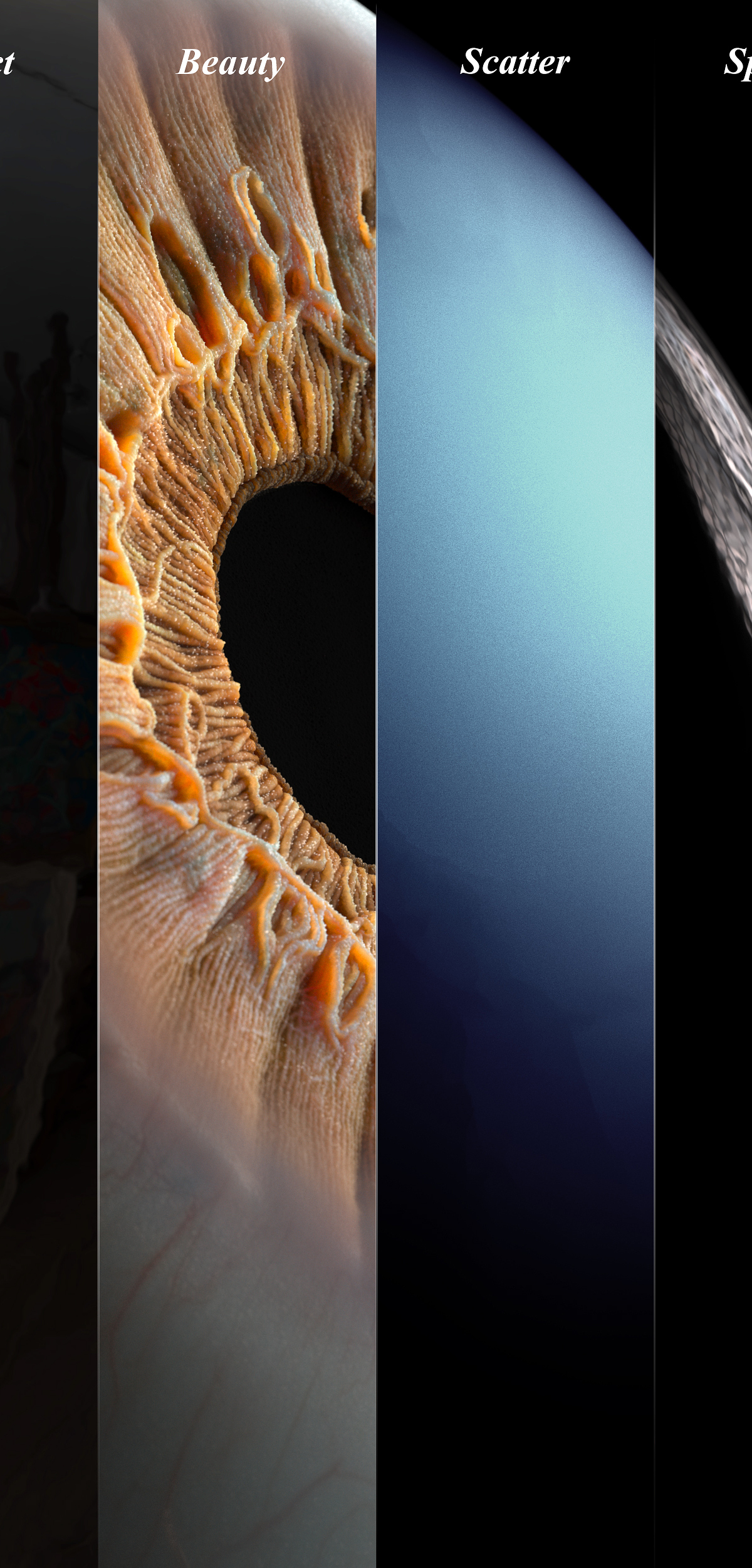Realistic_Eye_02.jpg