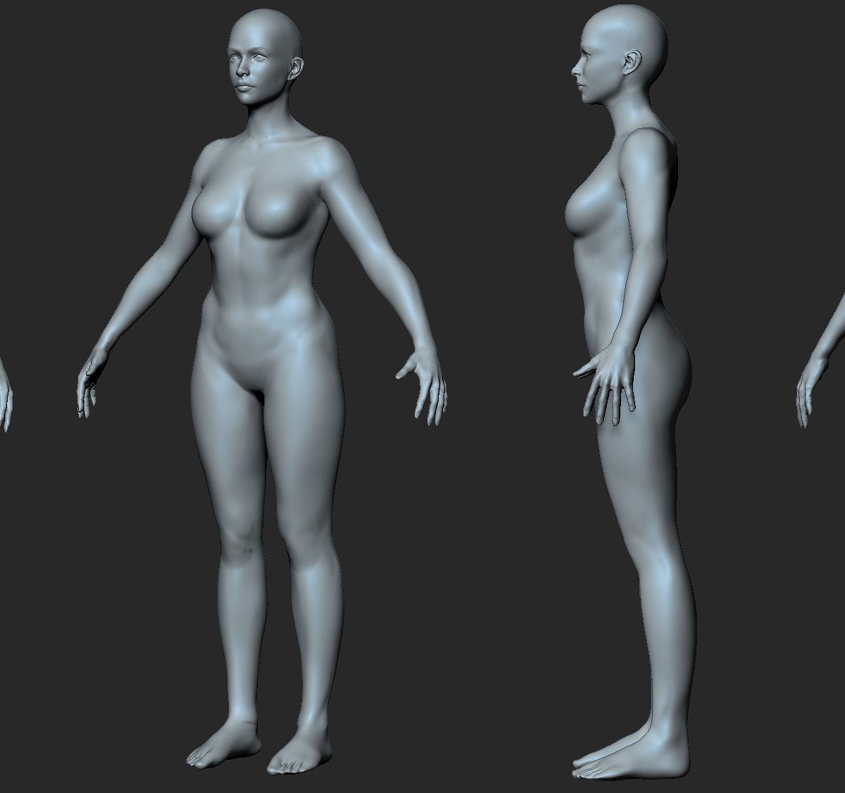 basemesh_full_02032019.jpg