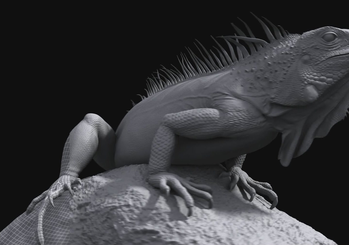 iguana01.JPG