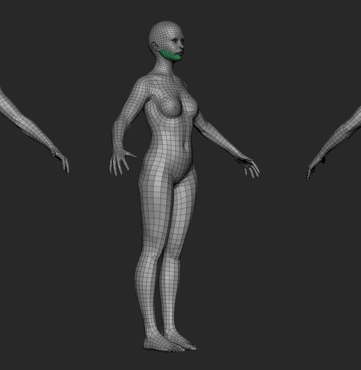 basemesh_17042019_02.jpg