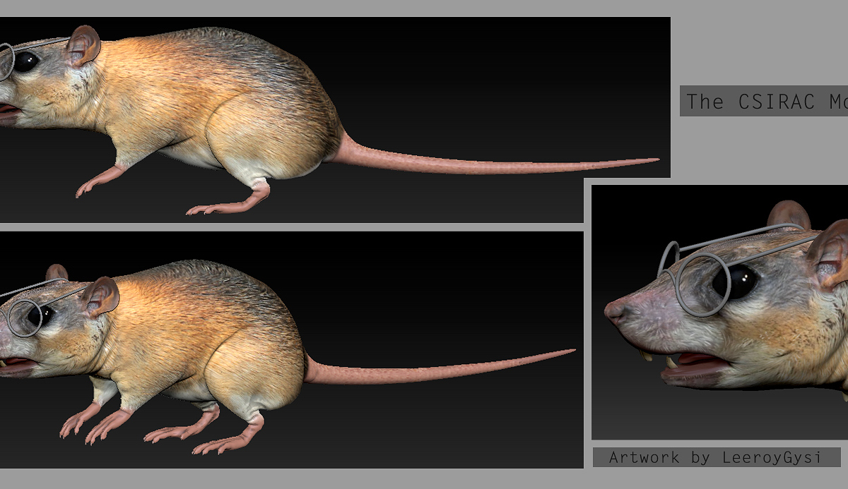 Csirac Mouse.jpg