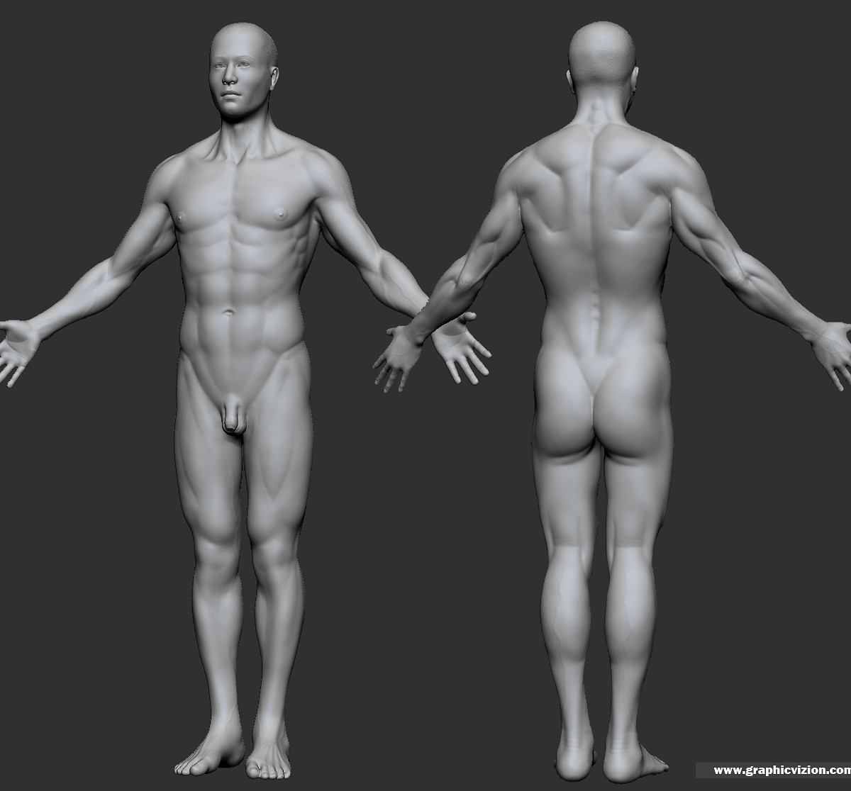 zbrush_male_3d_model.JPG