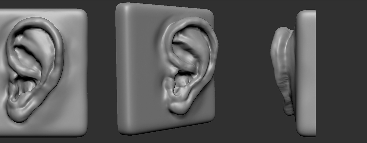 ear.jpg