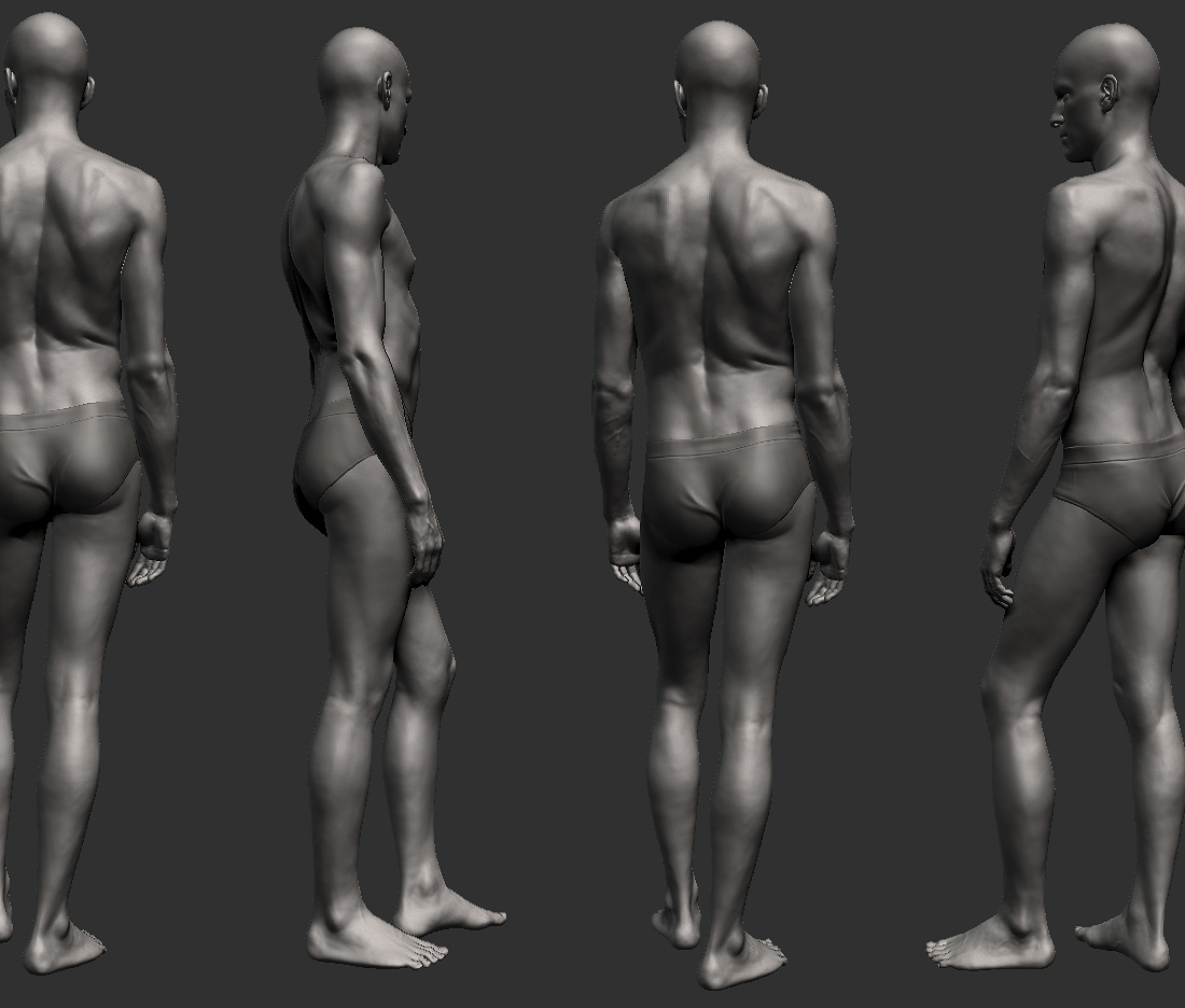 anatomyCharacterStrip.jpg
