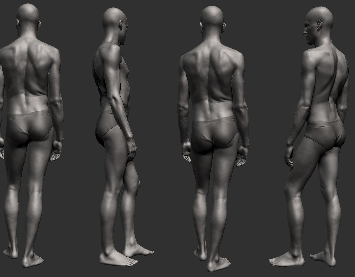 anatomyCharacterStrip.jpg