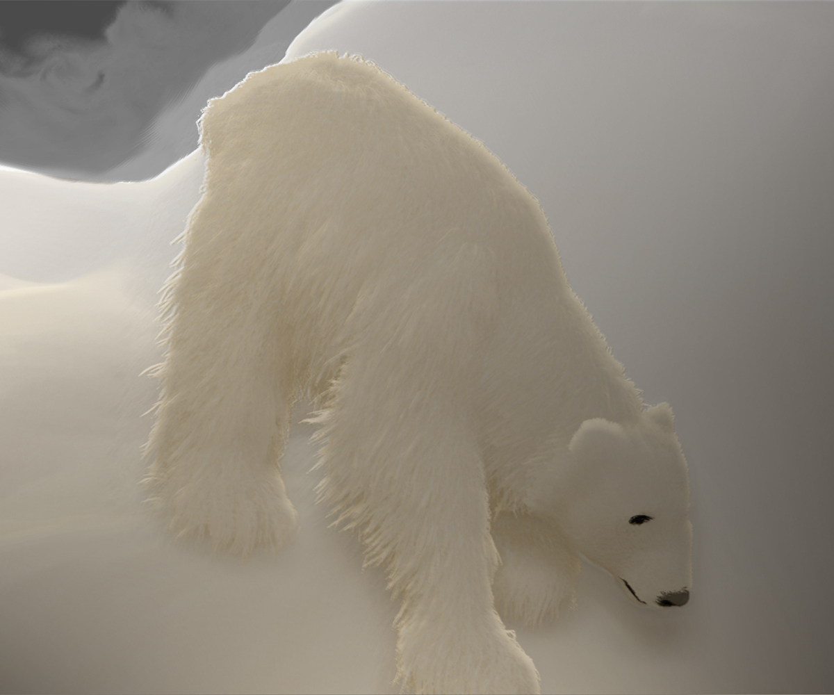 POLAR-BEAR-EXPERIMENT-32.jpg
