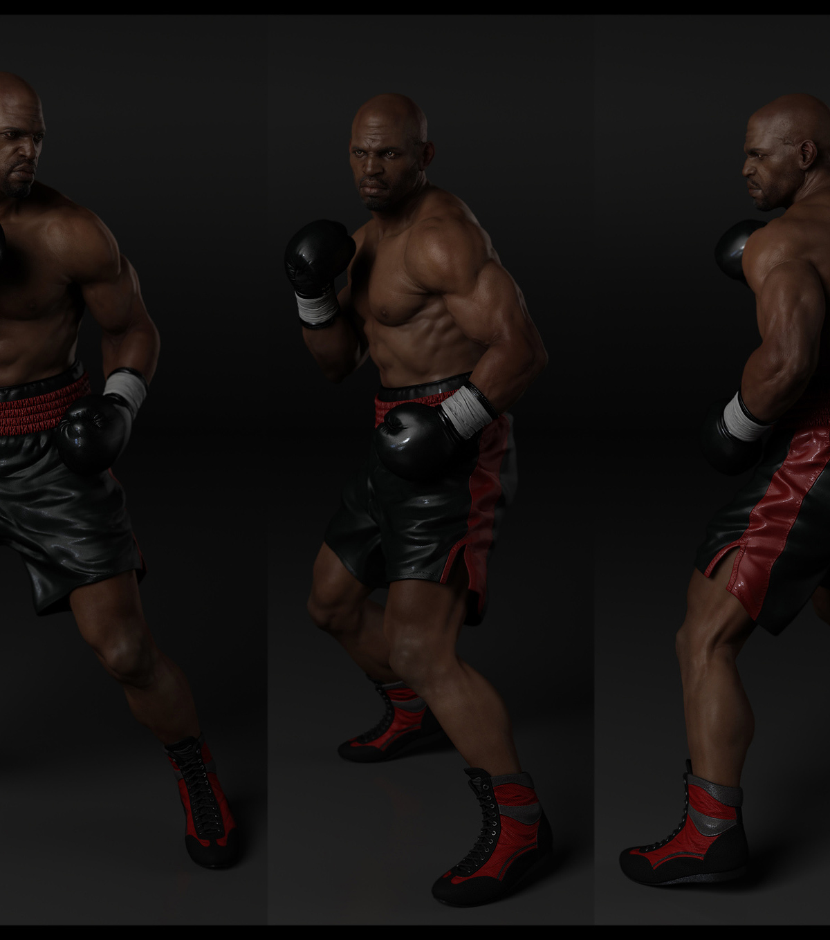 BOXER2_oranc.jpg