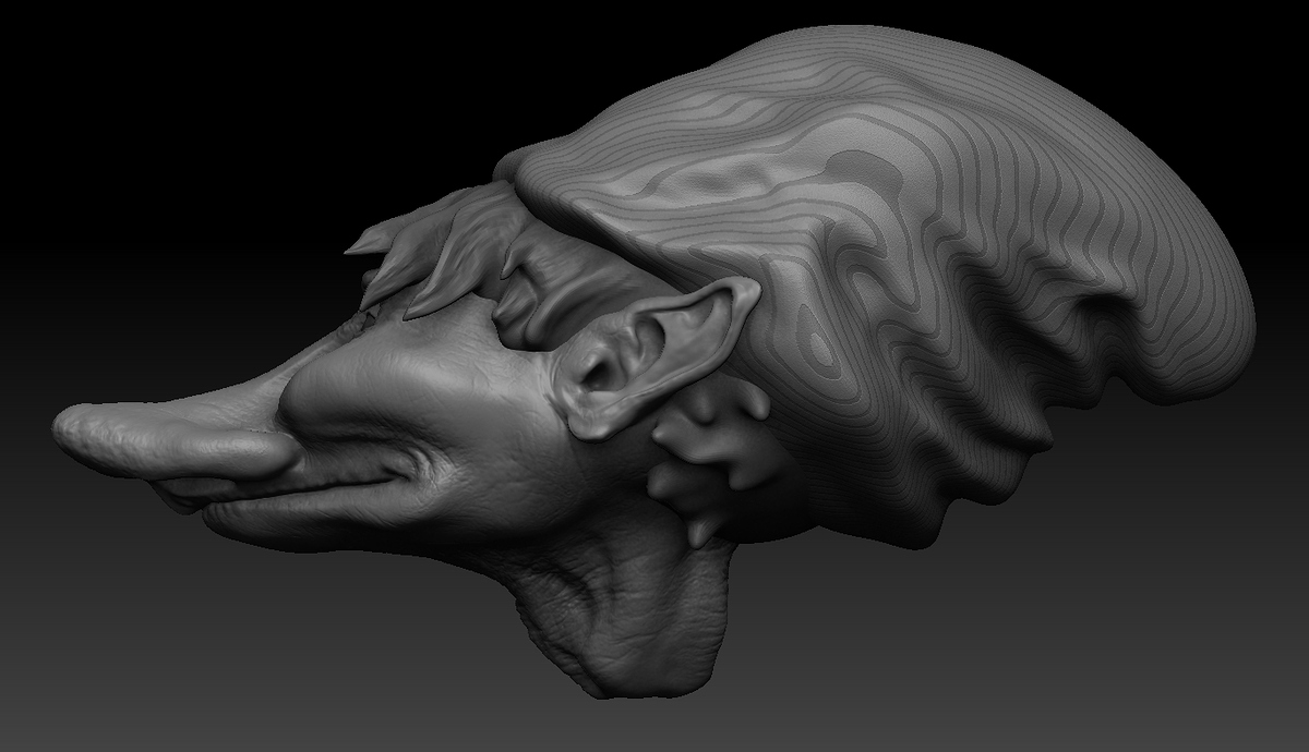 ZBrush%20Document2