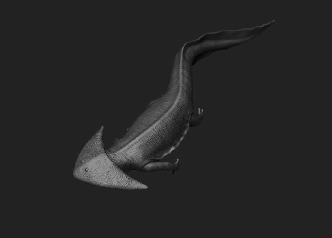 ceolacanthZB_04.jpg