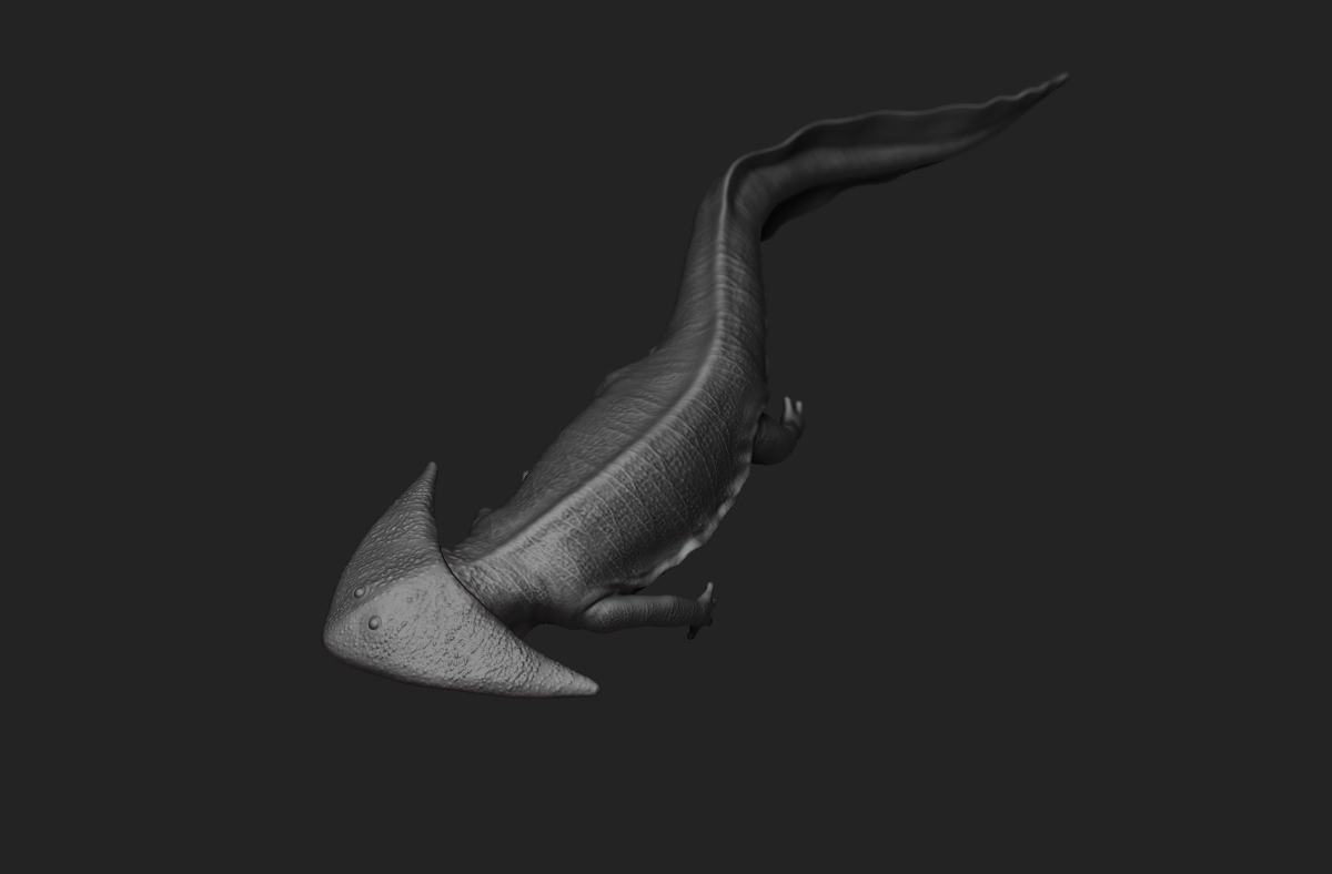 ceolacanthZB_04.jpg